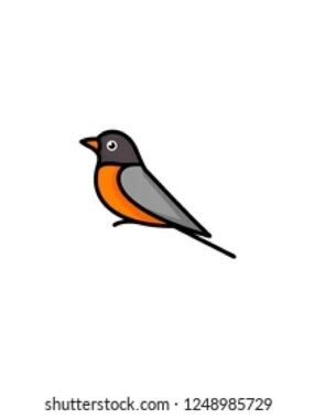 Meet your Posher, Robin